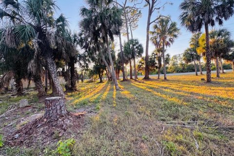 Land in Port Charlotte, Florida № 2159909 - photo 4