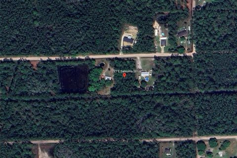 Land in Palatka, Florida № 2229316 - photo 6