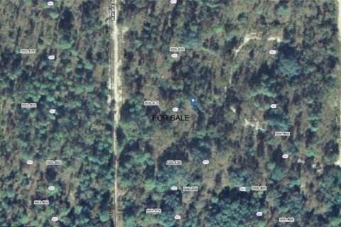 Land in Palatka, Florida № 2229316 - photo 3