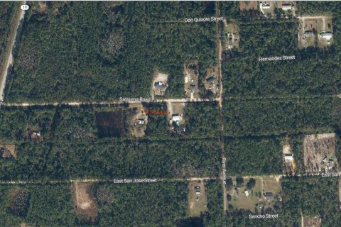 Land in Palatka, Florida № 2229316 - photo 4