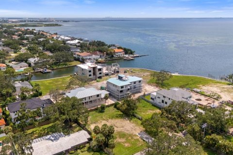 Land in Tampa, Florida № 1854230 - photo 8