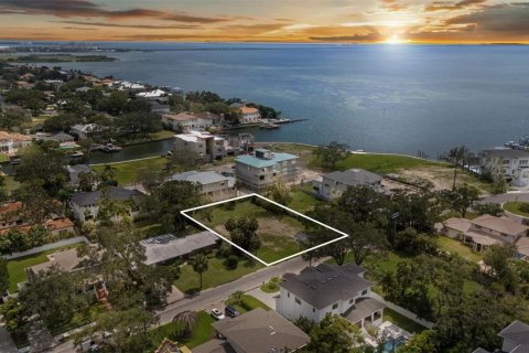 Land in Tampa, Florida № 1854230 - photo 19