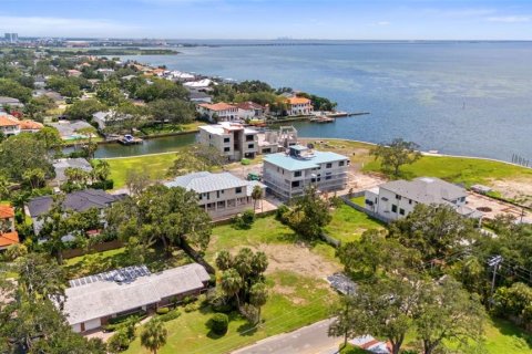 Land in Tampa, Florida № 1854230 - photo 10