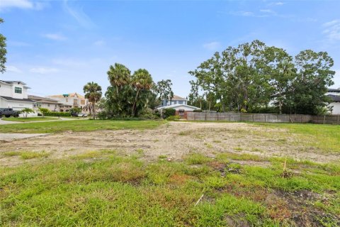 Land in Tampa, Florida № 1854230 - photo 4