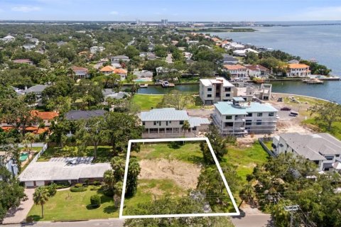 Land in Tampa, Florida № 1854230 - photo 7