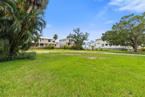 Land in Tampa, Florida № 1854230 - photo 2