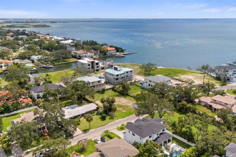 Land in Tampa, Florida № 1854230 - photo 11