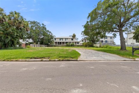 Land in Tampa, Florida № 1854230 - photo 1