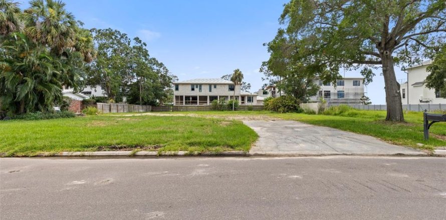 Land in Tampa, Florida № 1854230