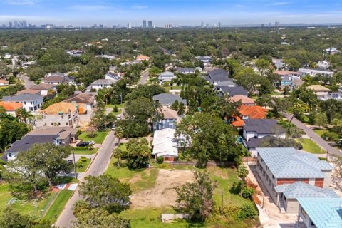 Land in Tampa, Florida № 1854230 - photo 13