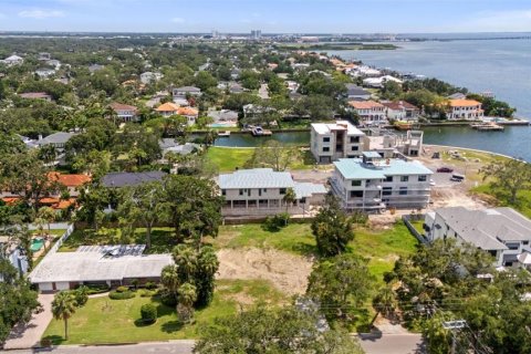 Land in Tampa, Florida № 1854230 - photo 6