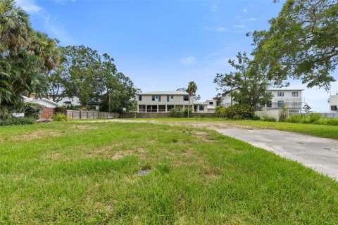 Land in Tampa, Florida № 1854230 - photo 3