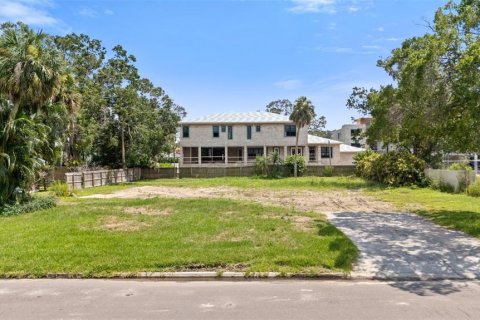 Land in Tampa, Florida № 1854230 - photo 5