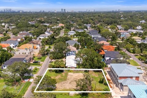 Land in Tampa, Florida № 1854230 - photo 14