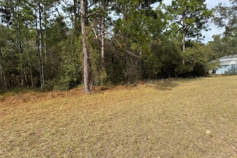 Land in Ocala, Florida № 1554706 - photo 11