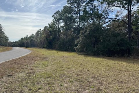 Land in Ocala, Florida № 1554706 - photo 7