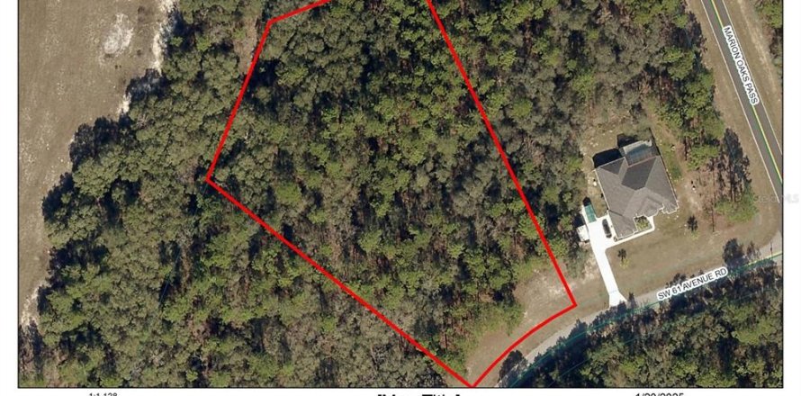 Land in Ocala, Florida № 1554706
