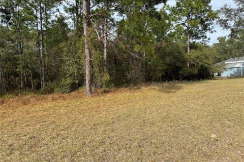 Land in Ocala, Florida № 1554706 - photo 10