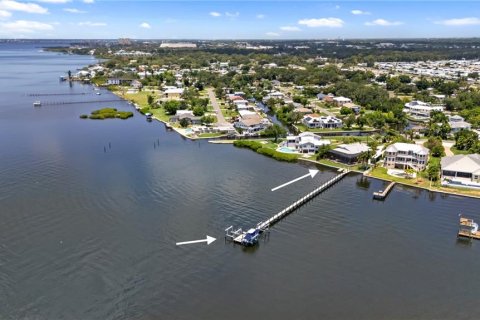 House in Ellenton, Florida 5 bedrooms, 397.81 sq.m. № 2208958 - photo 4