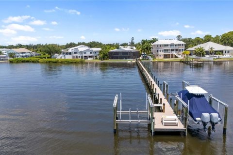 House in Ellenton, Florida 5 bedrooms, 397.81 sq.m. № 2208958 - photo 3