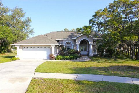 House in Spring Hill, Florida 4 bedrooms, 190.08 sq.m. № 1654828 - photo 1