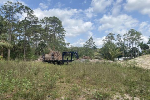 Land in Loxahatchee Groves, Florida № 1188545 - photo 1