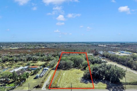 Land in Wimauma, Florida № 2118777