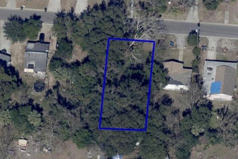 Terrain à Apopka, Floride № 2218483