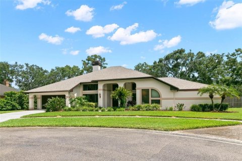Villa ou maison à vendre à Clearwater, Floride: 5 chambres, 341.79 m2 № 1835797 - photo 3