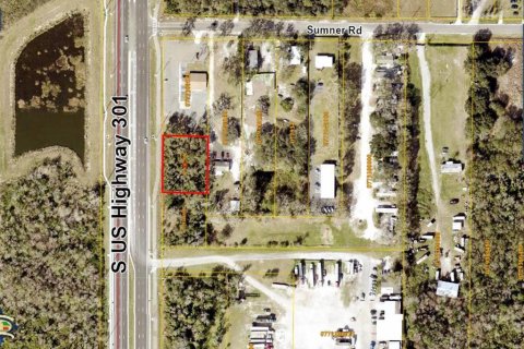 Land in Wimauma, Florida № 1371404 - photo 7