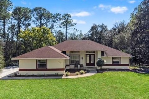 Villa ou maison à Hernando, Floride 3 chambres, 191.01 m2 № 2415530