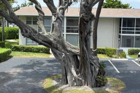 Condo in Boynton Beach, Florida, 1 bedroom № 2268568
