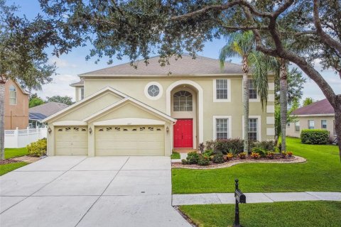 House in Tampa, Florida 5 bedrooms, 322.74 sq.m. № 1885284 - photo 1