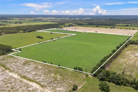 Land in Newberry, Florida № 1835076 - photo 7
