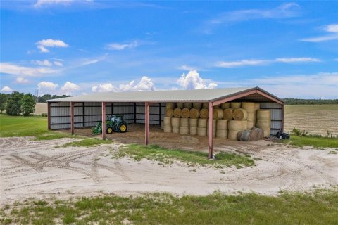 Land in Newberry, Florida № 1835076 - photo 4