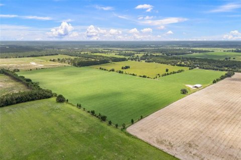 Land in Newberry, Florida № 1835076 - photo 2