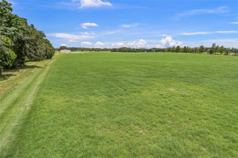 Land in Newberry, Florida № 1835076 - photo 14