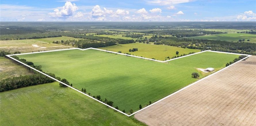Land in Newberry, Florida № 1835076