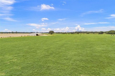 Land in Newberry, Florida № 1835076 - photo 15
