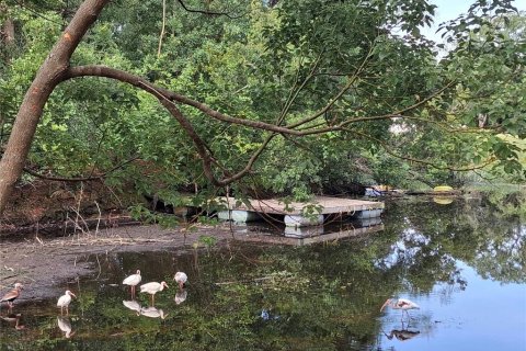 House in New Port Richey, Florida 3 bedrooms, 202.62 sq.m. № 2157371 - photo 2