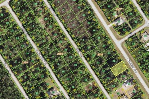 Land in Port Charlotte, Florida № 2321510