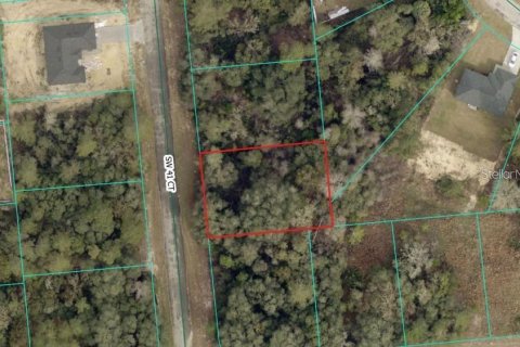 Land in Ocala, Florida № 2161756