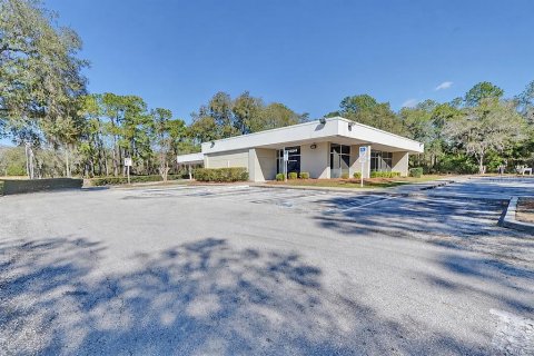 Immobilier commercial à Citrus Springs, Floride 304.72 m2 № 2433589