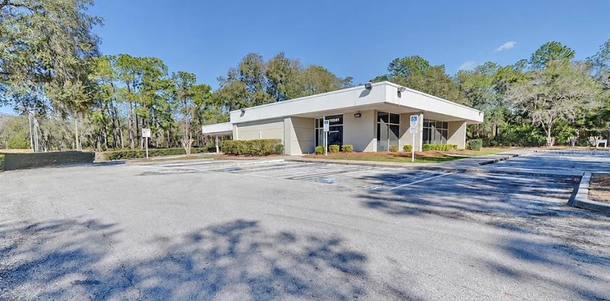 Immobilier commercial à Citrus Springs, Floride 304.72 m2 № 2433589