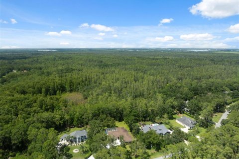 House in Wesley Chapel, Florida 4 bedrooms, 266.72 sq.m. № 1851746 - photo 3
