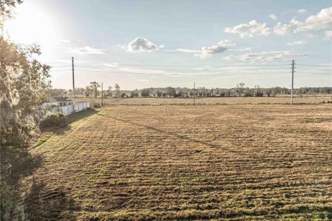 Land in Wildwood, Florida № 1546781 - photo 3