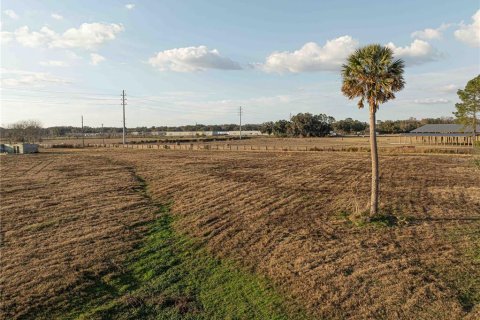 Land in Wildwood, Florida № 1546781 - photo 7