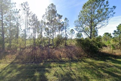 Terreno en venta en Indian lake estates, Florida № 1534081 - foto 2