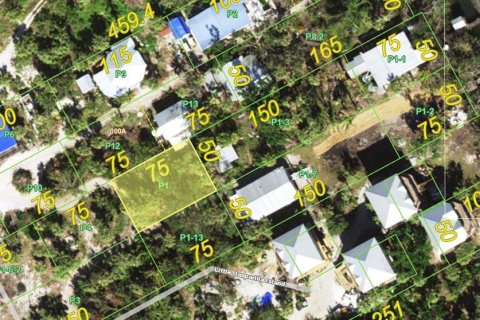 Land in Placida, Florida № 1901139 - photo 1