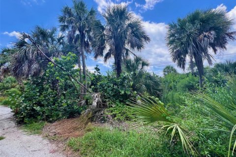 Land in Placida, Florida № 1901139 - photo 4